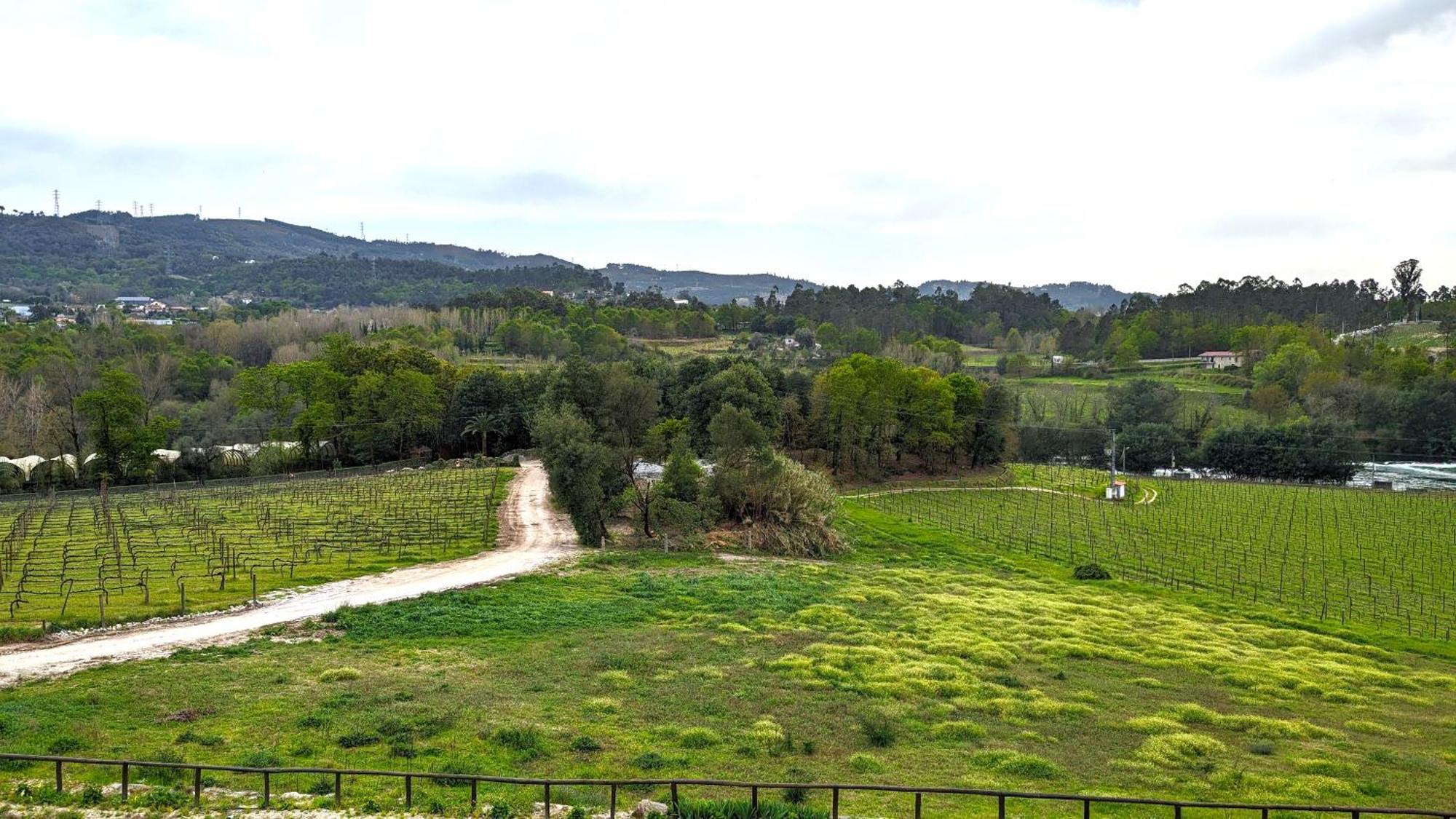 אמאריס Quinta Do Burgo - Nature Hotel מראה חיצוני תמונה